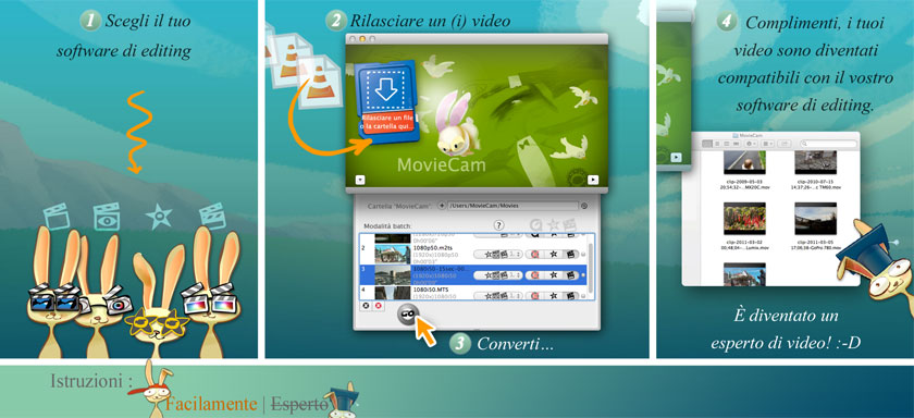 simple: 1-Select your preferred editing video software. 2-Drag and Drop files from your camcorder. 3-Launch conversion. 4-Congratulations, your file is now compliant with your software needs; you became a video expert! :-)